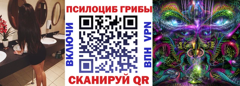 наркота  Куровское  Галлюциногенные грибы GOLDEN TEACHER 